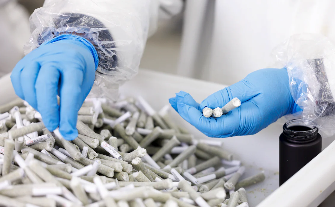 Exploring Franklin's Currently Available Blends & Strains